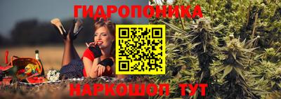 Альфа ПВП Заволжье