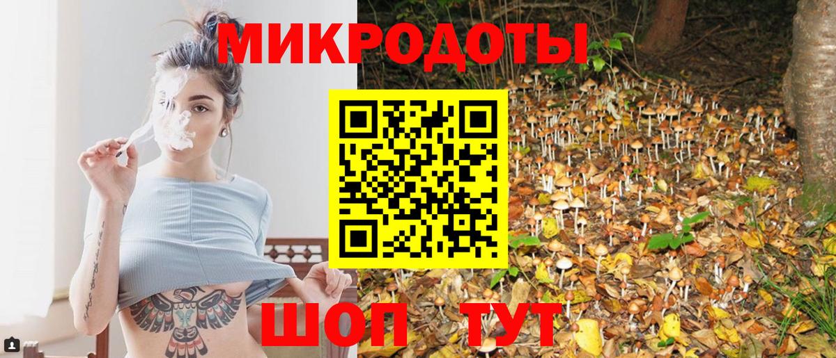 Галлюциногенные грибы Psilocybine cubensis Можайск